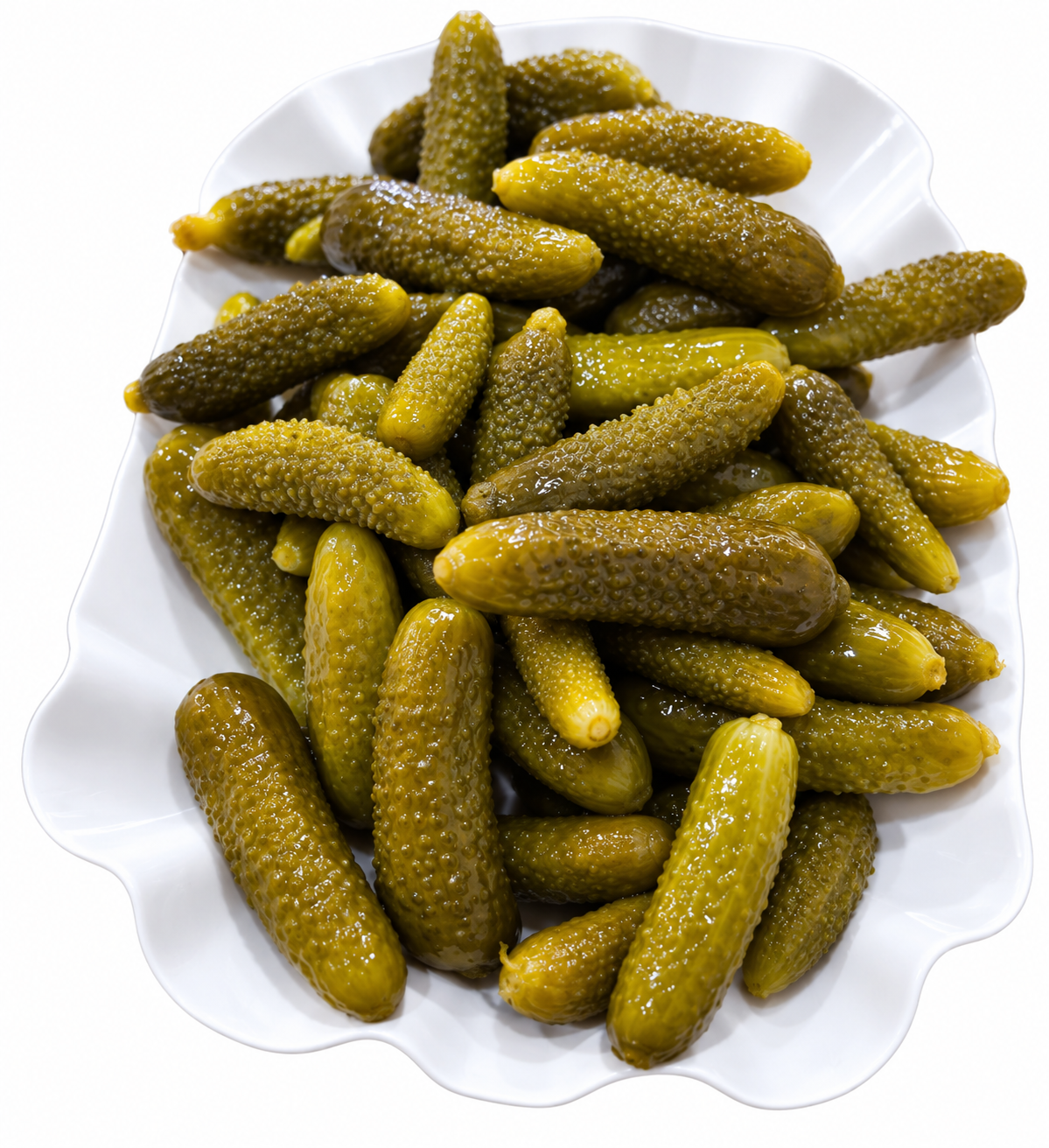 Cornichons aus Algerien
